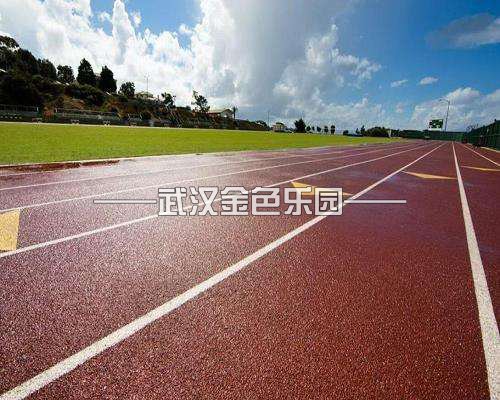 橡膠跑道材料和施工廠家武漢金色樂園